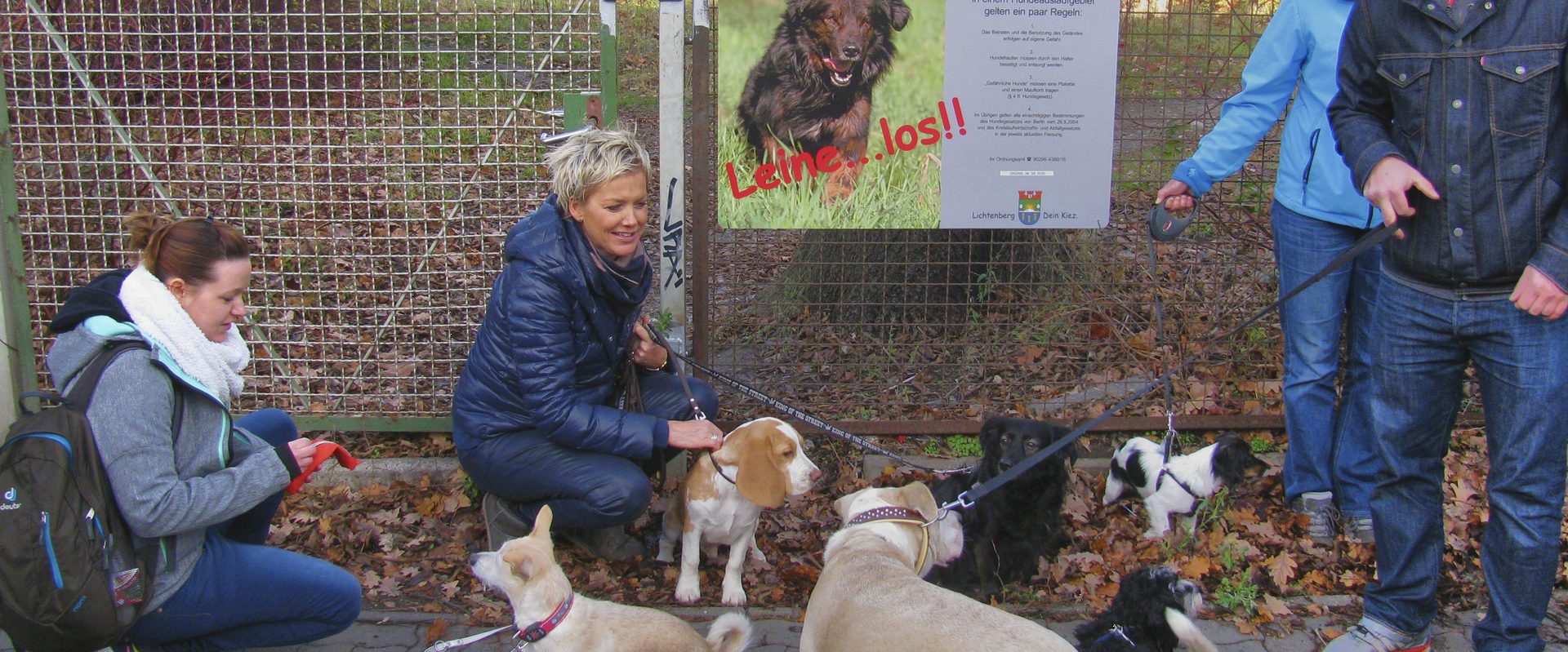 hundeplatz