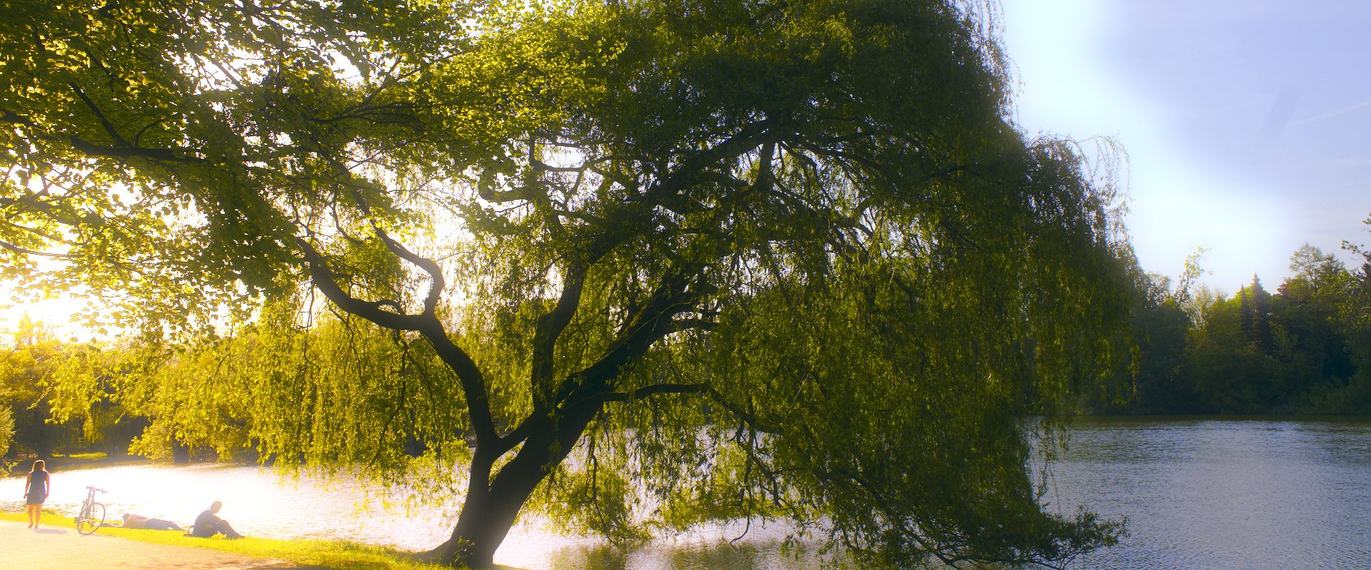 obersee-orankesee-park