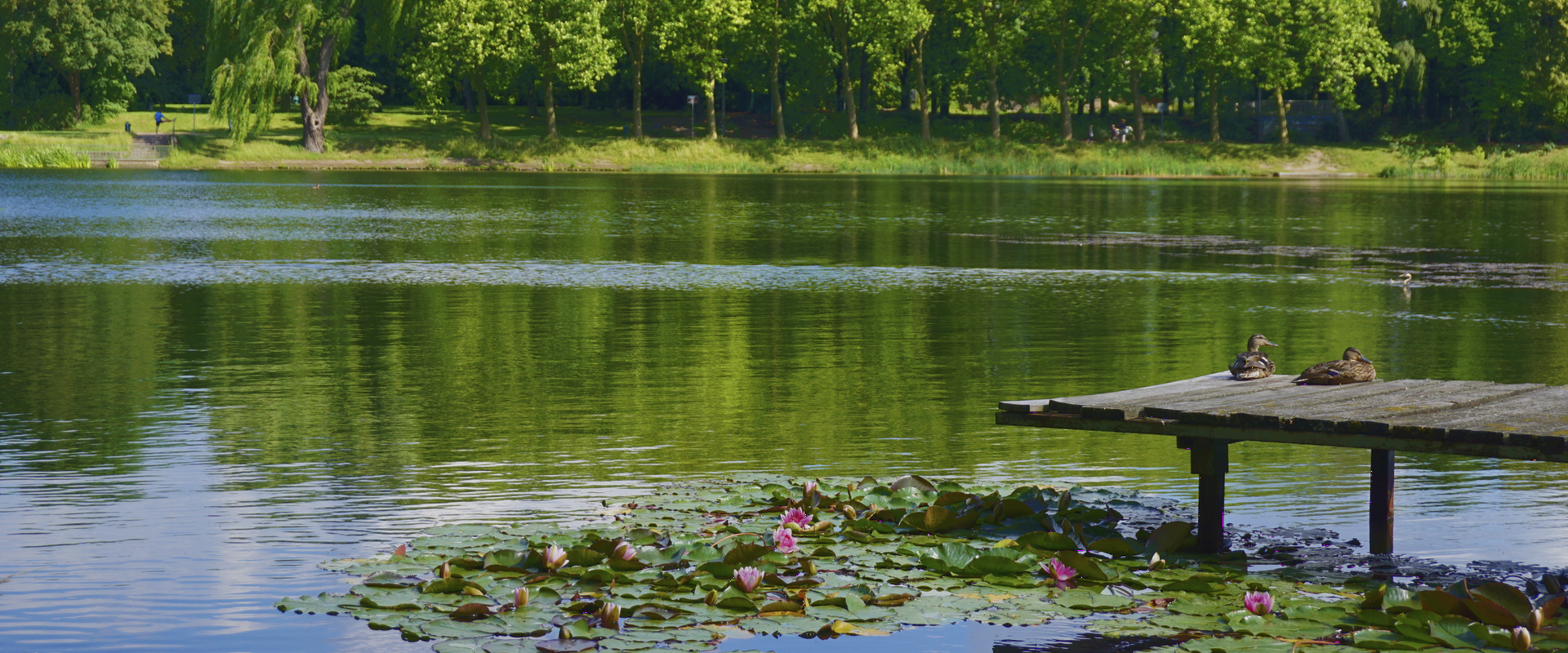 Obersee-Orankesee-9