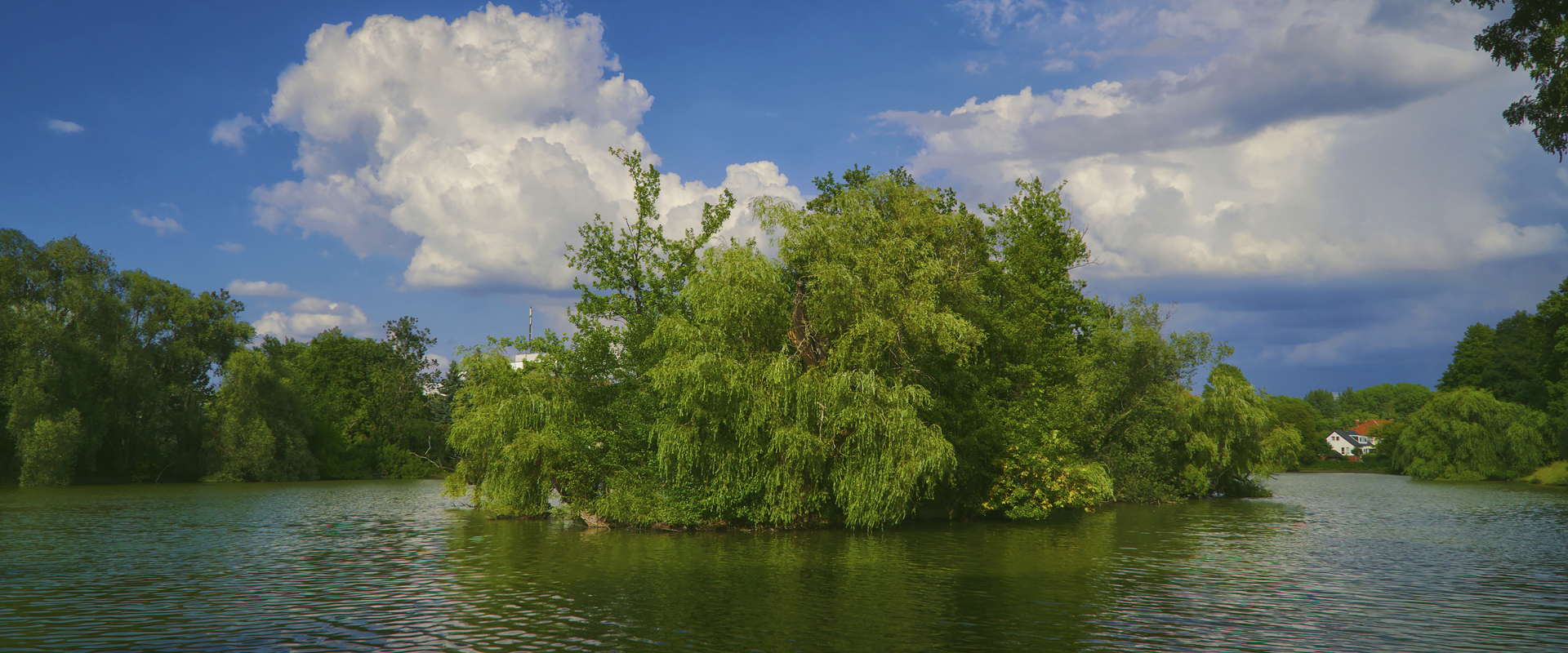 obersee-insel